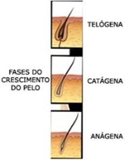 pelo.f1